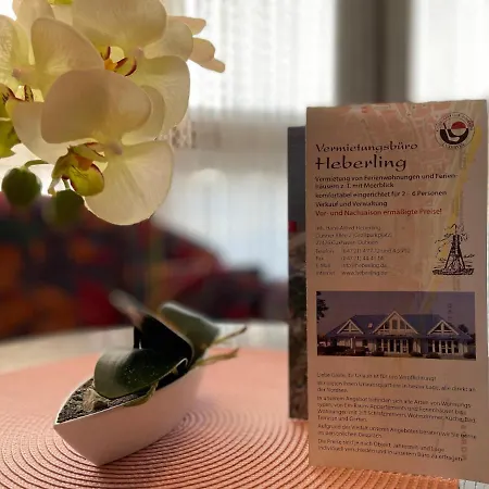 Haus Dwarsloeper, 3 Apartment *